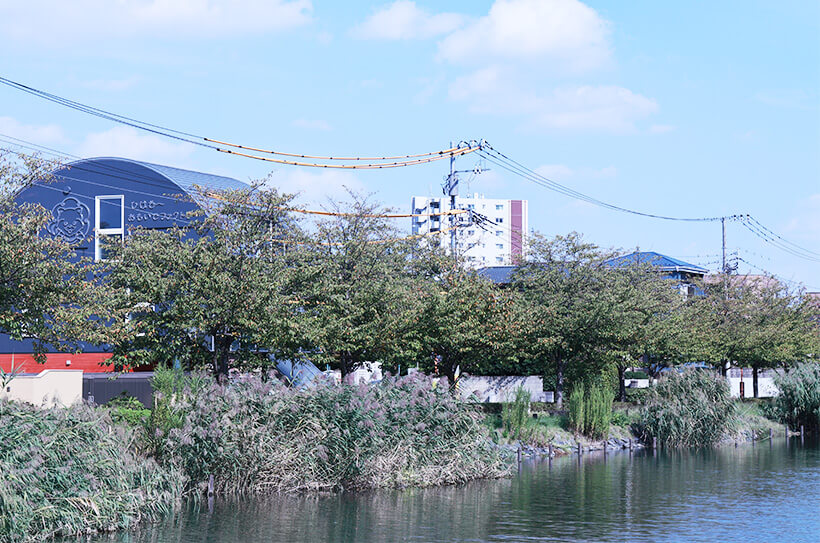 おうちがいいけど…しろひげステイの内装